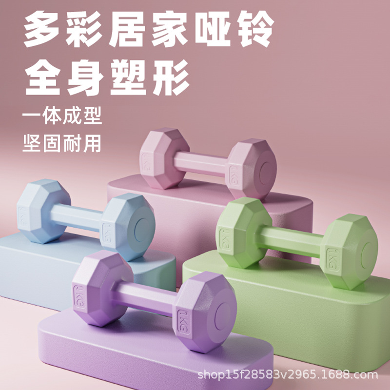 Dumbbell Women's Fitness Home 2/3kg Pair Barbell 1/1.5kg Yaling Youth Fitness New Small Dumbbell